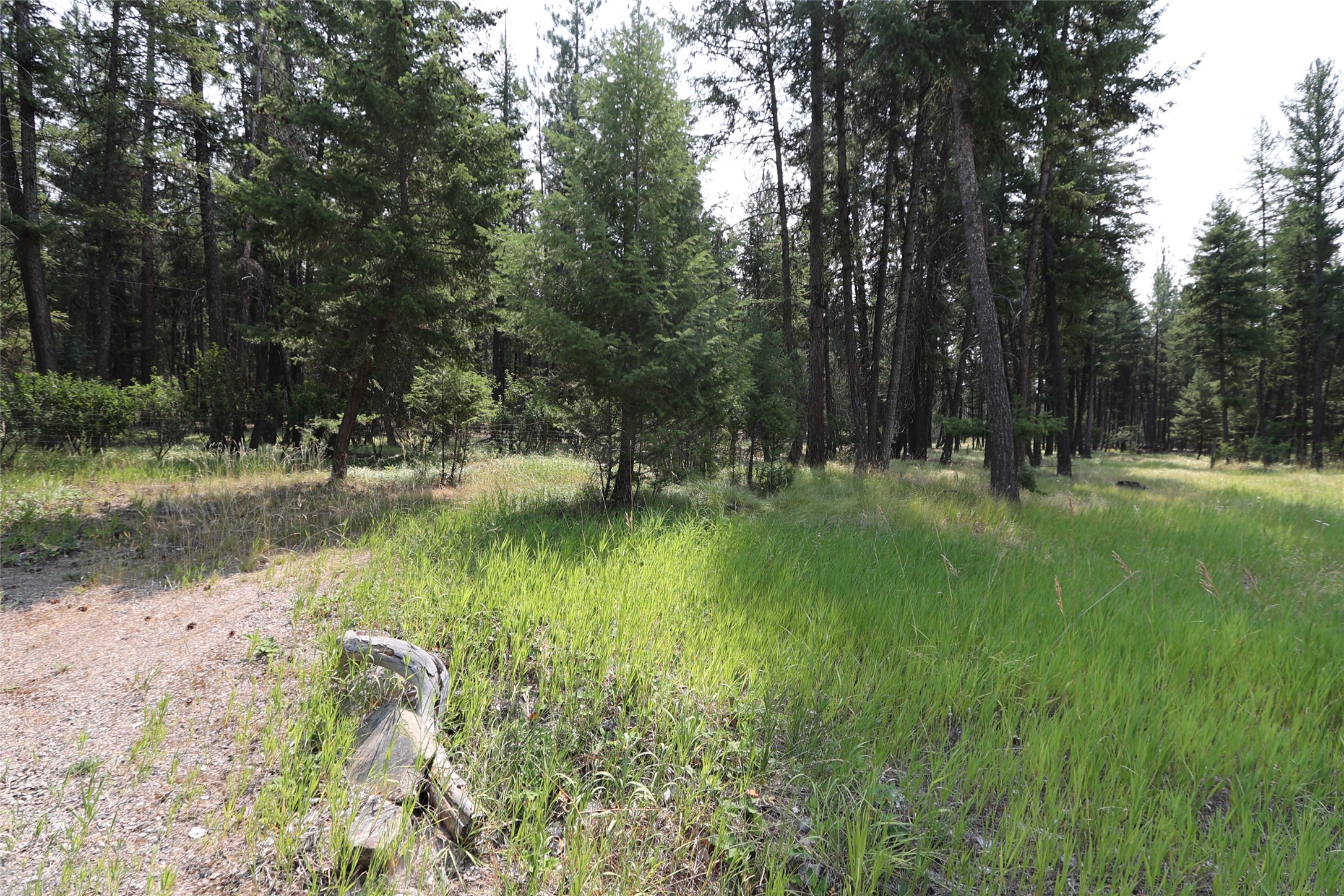 40 Old Cedar Creek Road