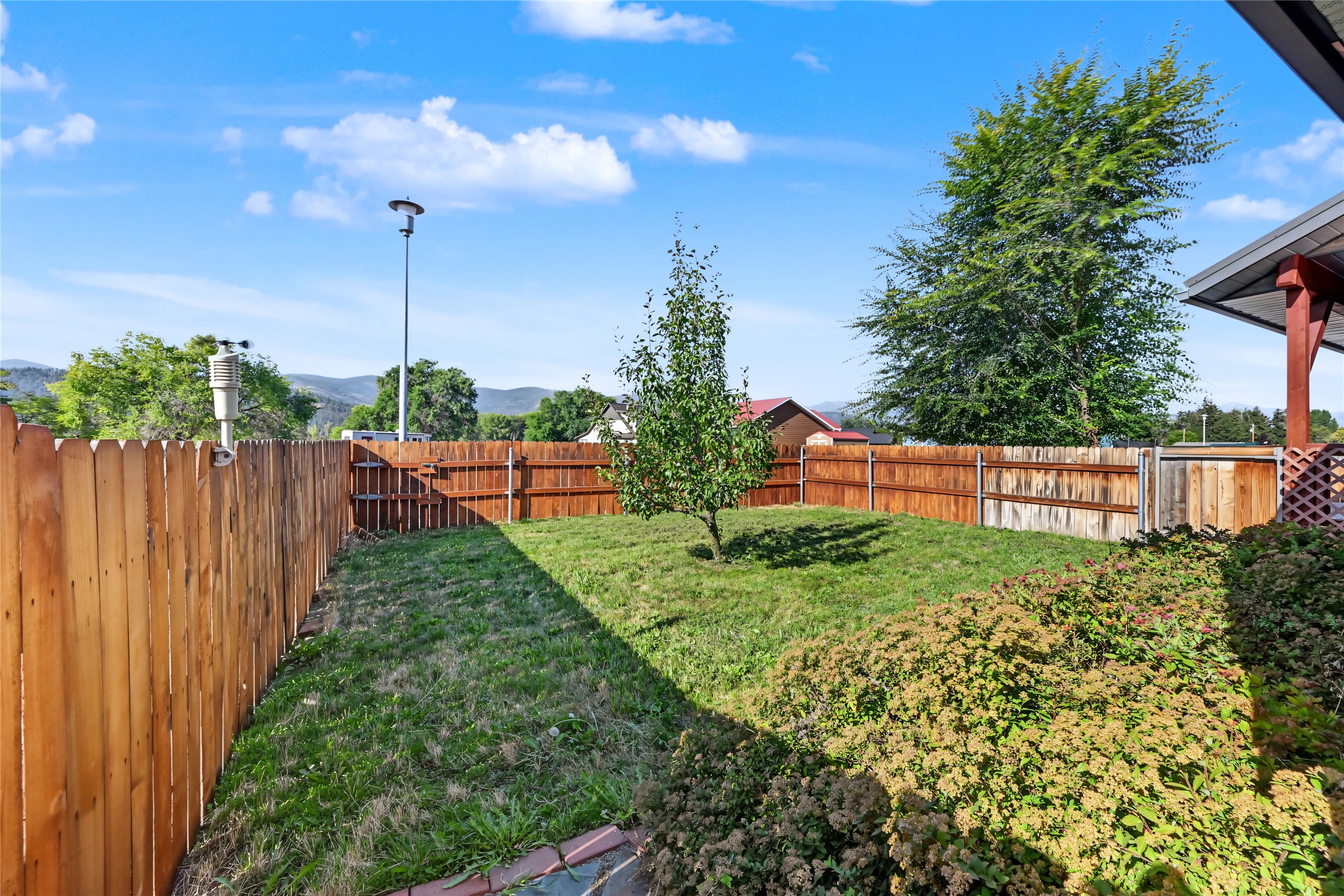 Fenced backyard with a grassy lawn, young tree, flowering shrubs, and distant mountain ridges.