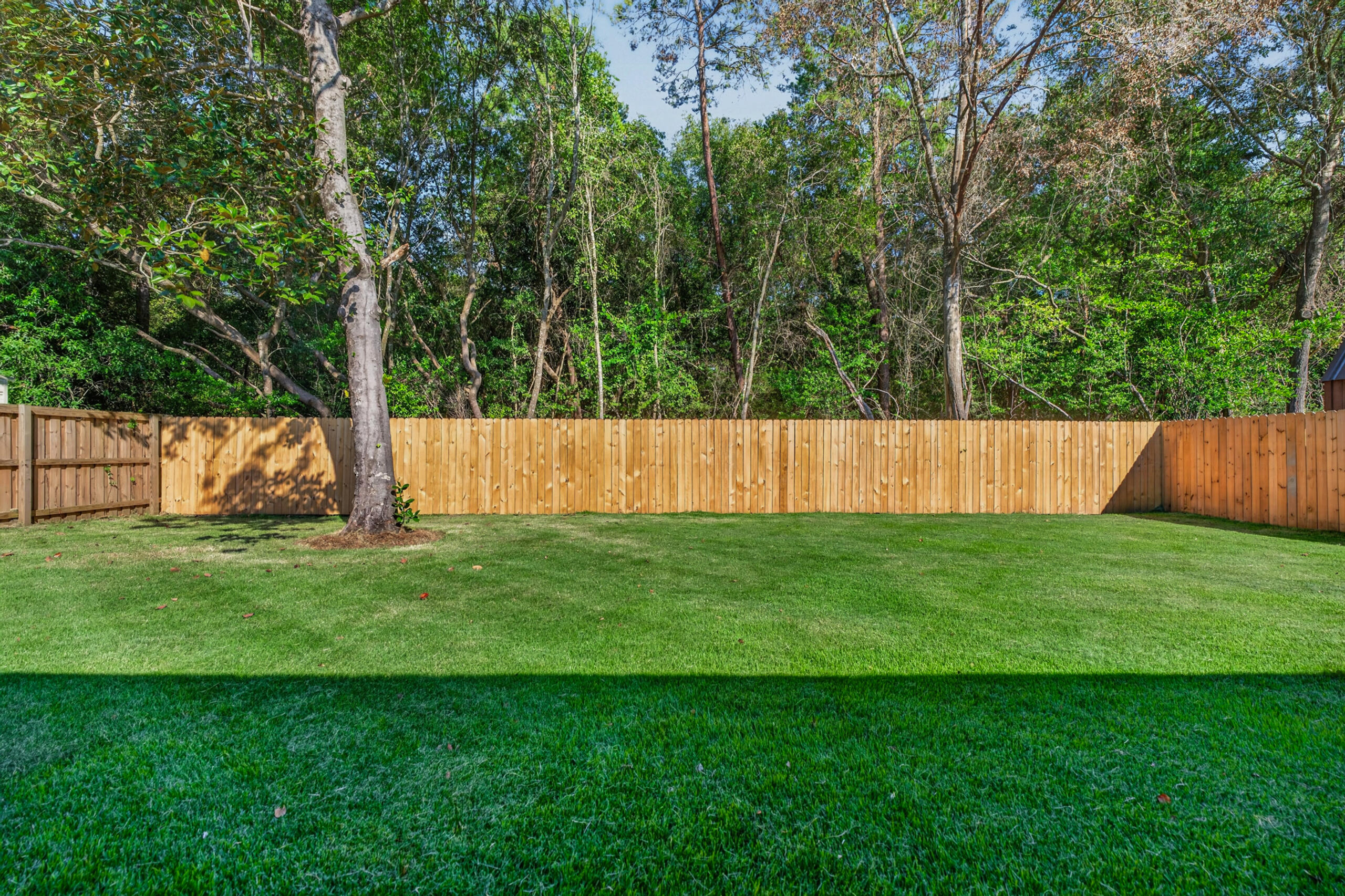 Backyard with a broad green lawn, wooden privacy fence, and mature trees.
