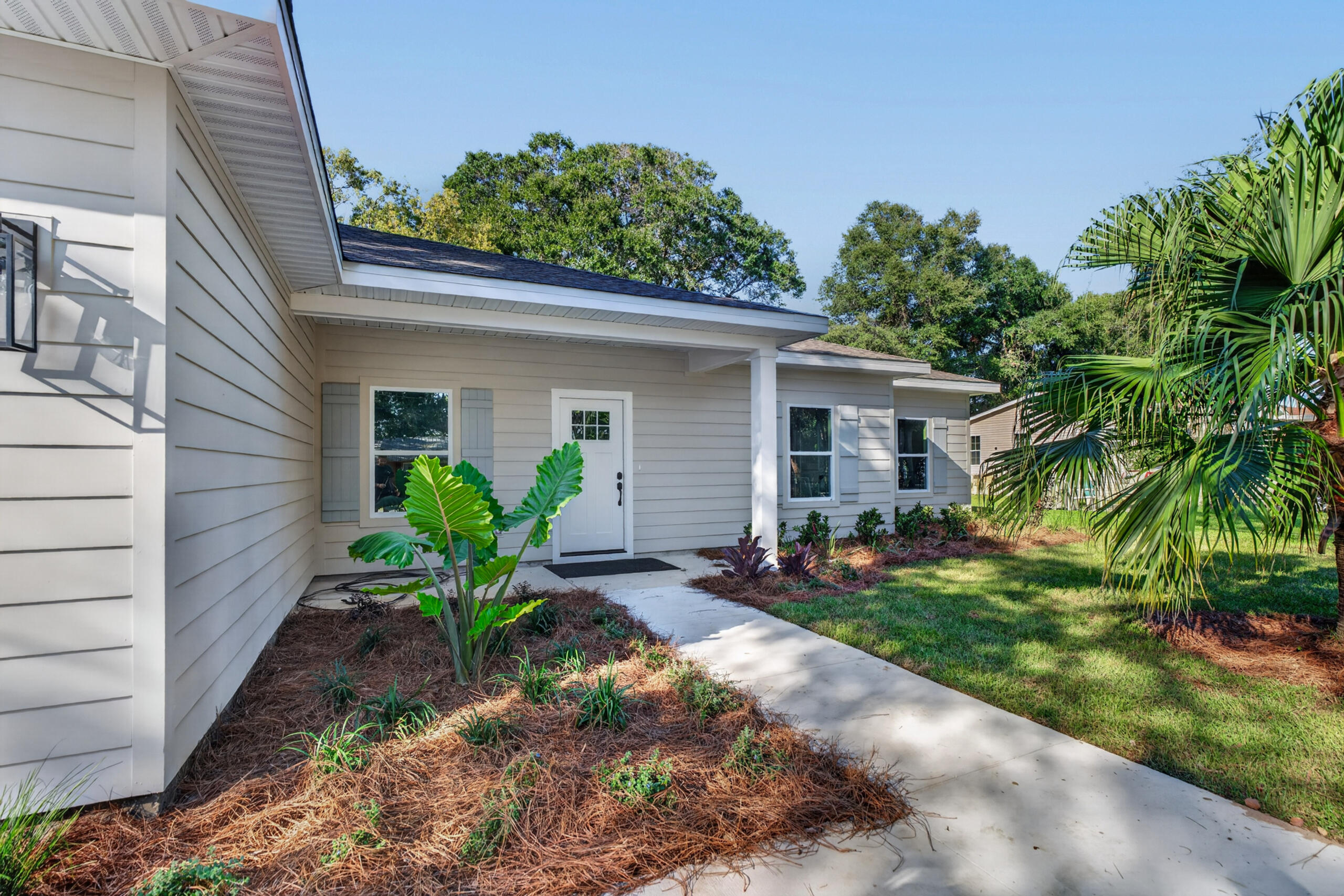 Single-story gray-sided home with a white front door, concrete walkway, and tropical landscaping.