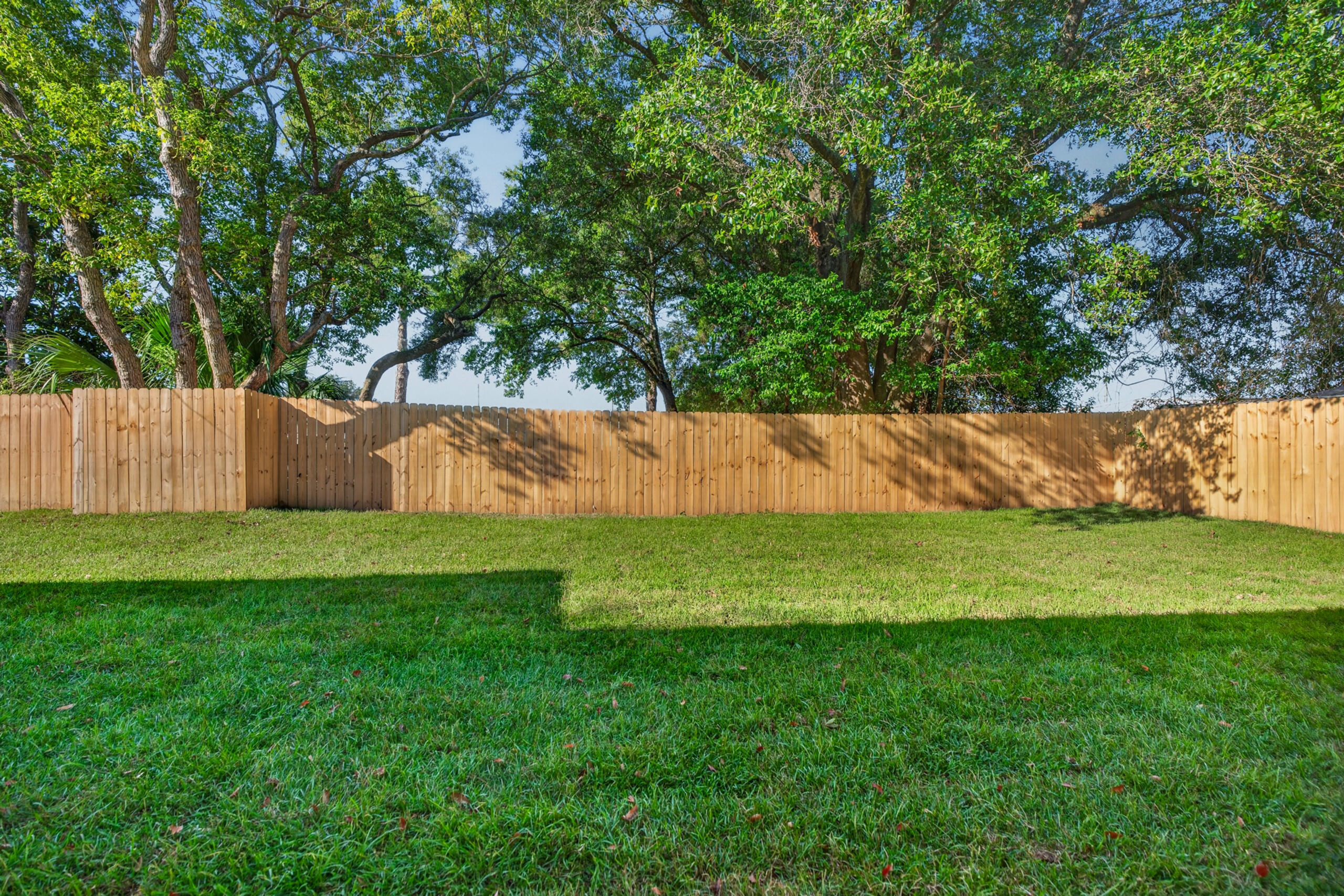 Backyard lawn bordered by a tall wooden privacy fence and mature trees.