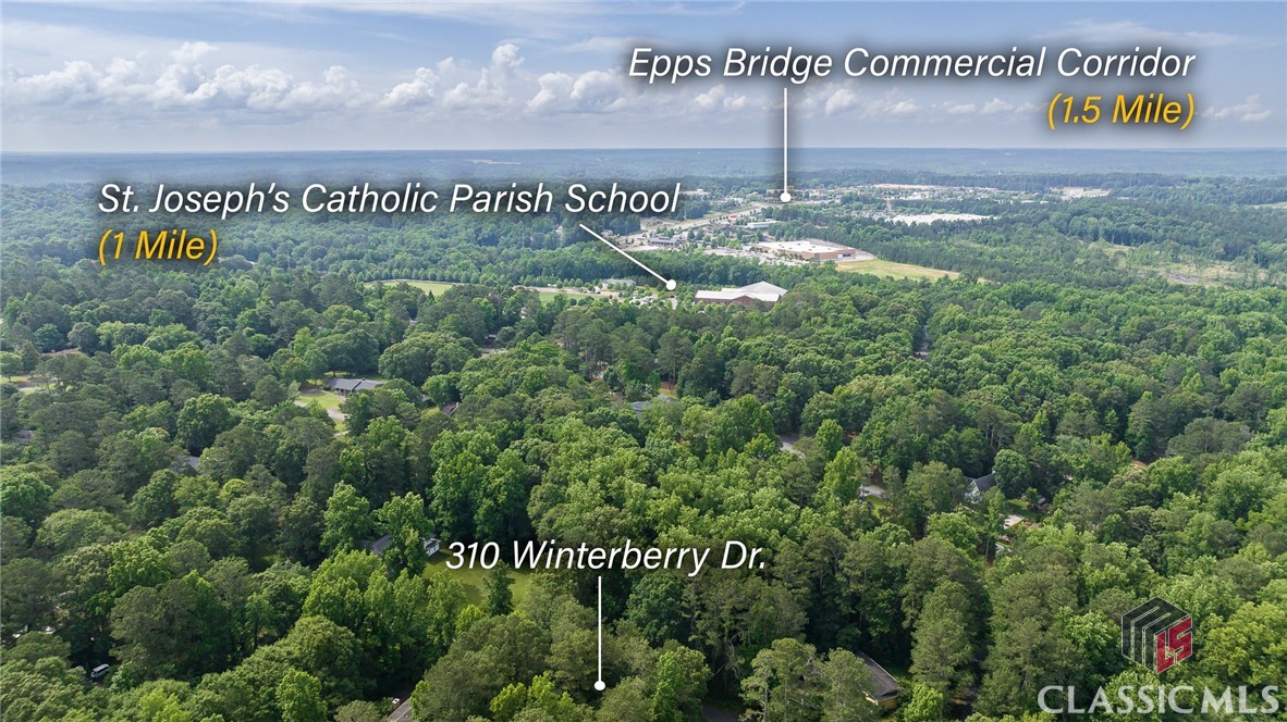 310 Winterberry Drive