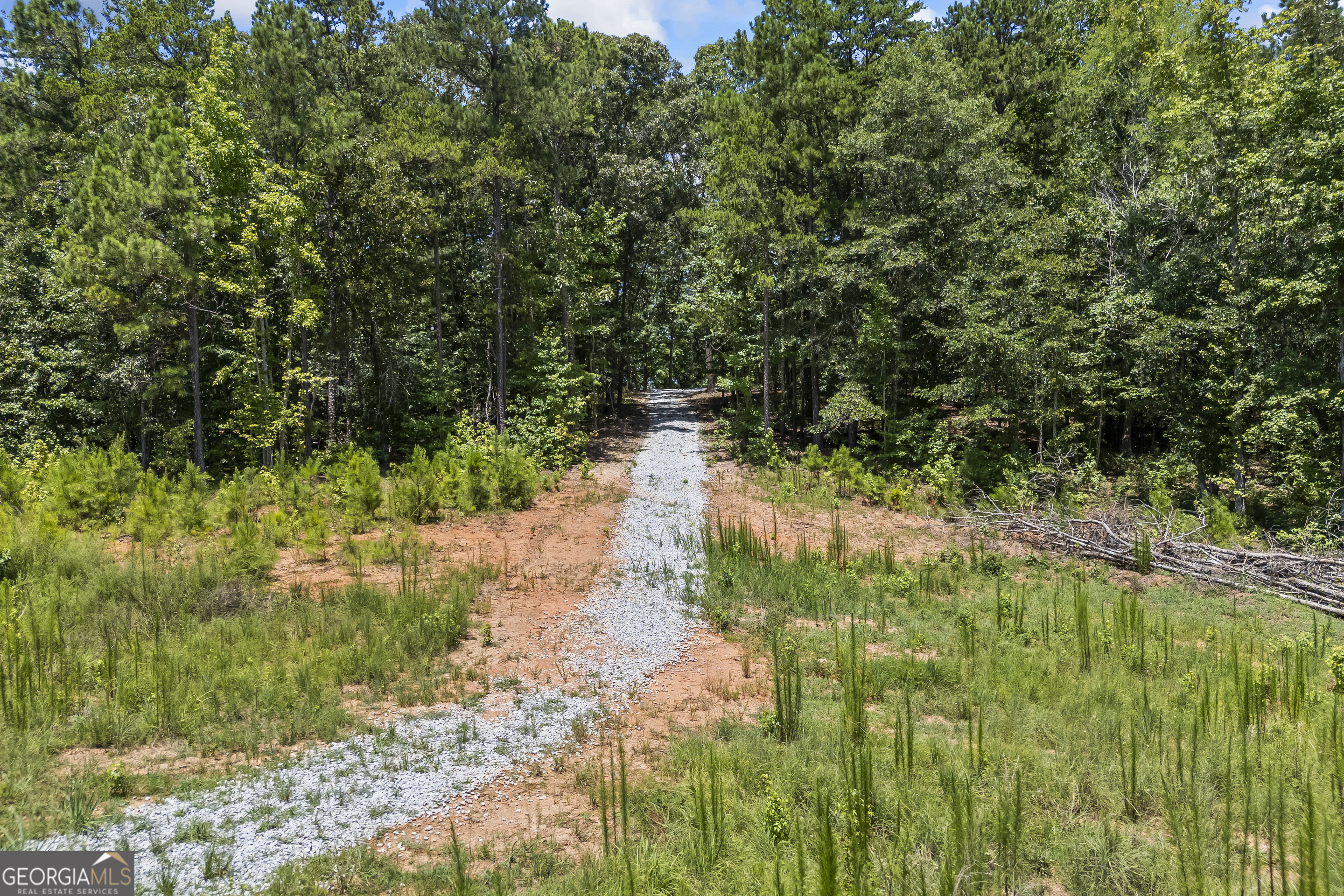 211 Blackthorn Road
