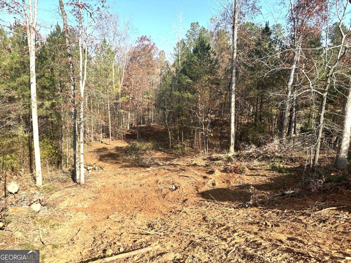 1698 Shoal Creek Way