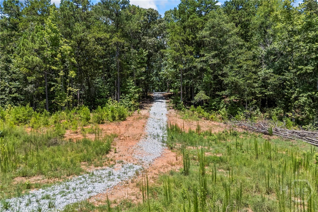 211 Blackthorn Road