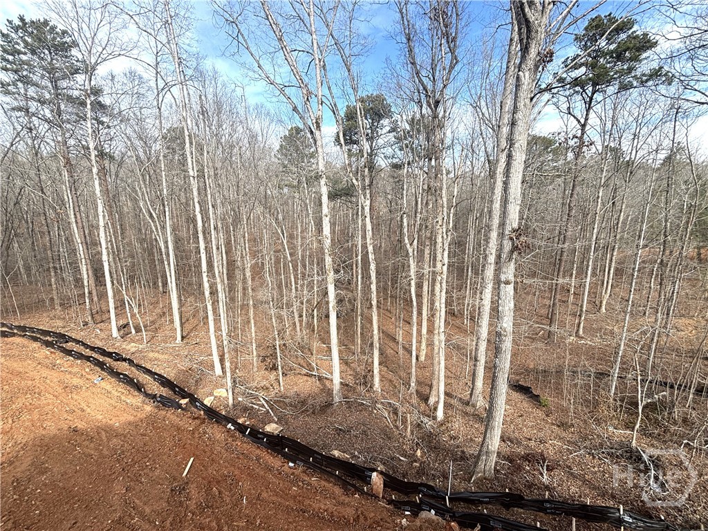 2012 Shoal Creek Way