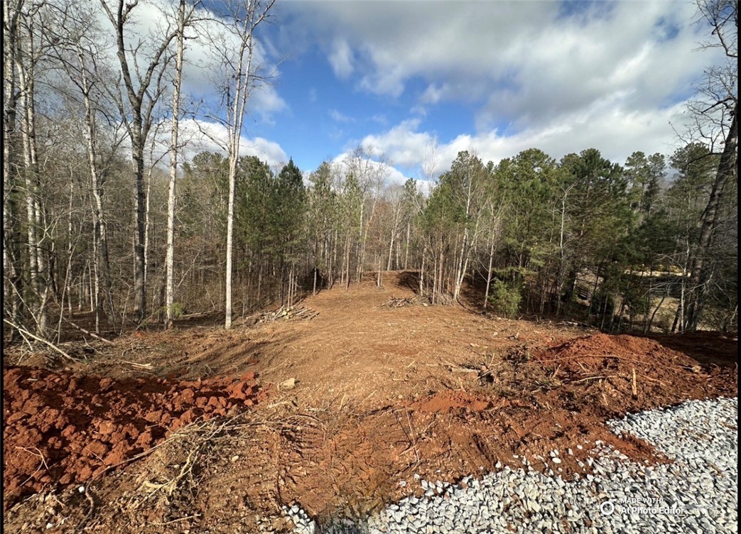 1698 Shoal Creek Way