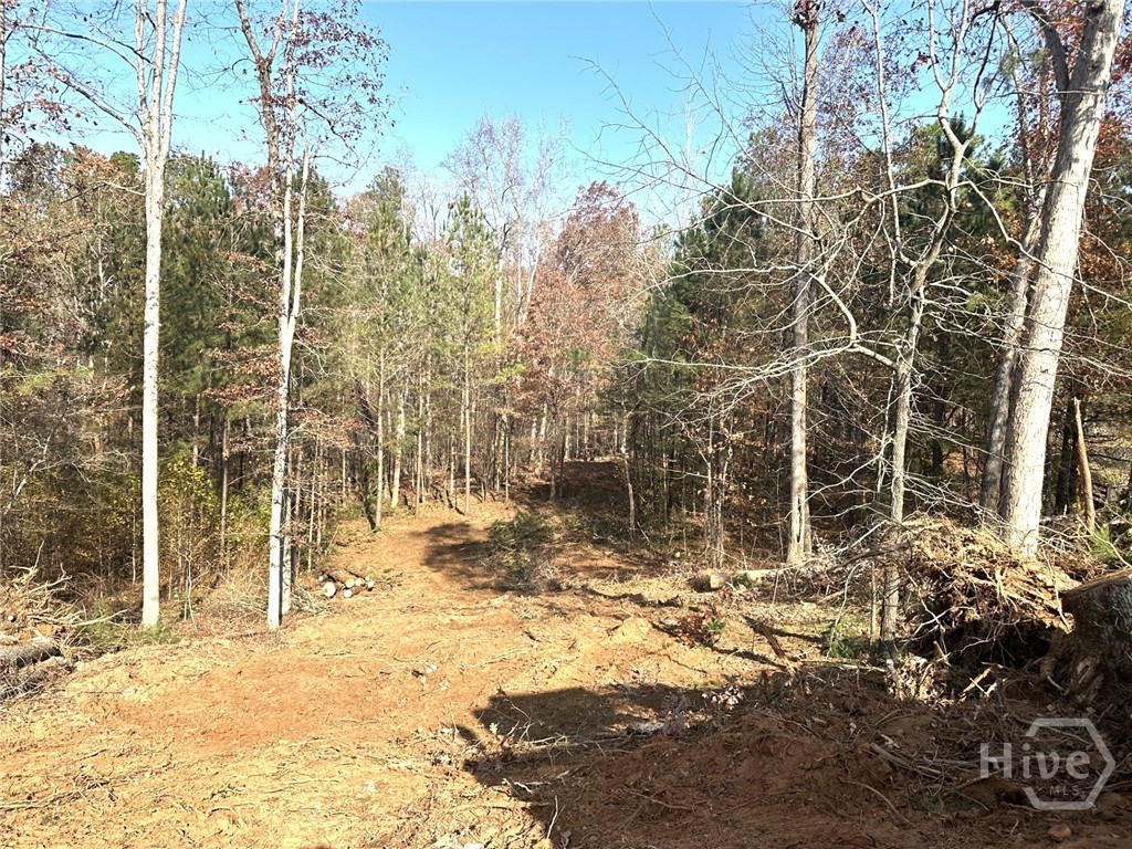 1698 Shoal Creek Way