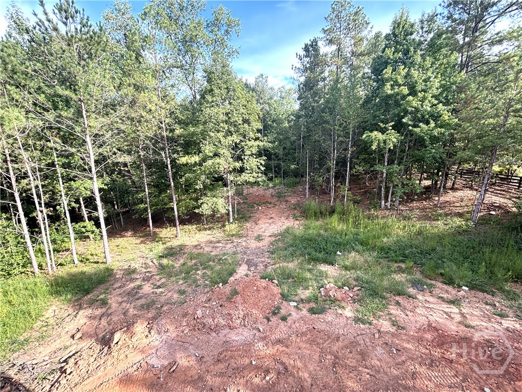 1698 Shoal Creek Way