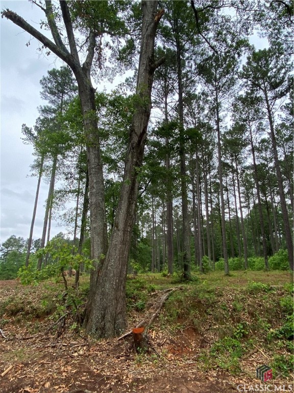 0 New High Shoals Road