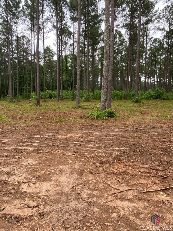 0 New High Shoals Road