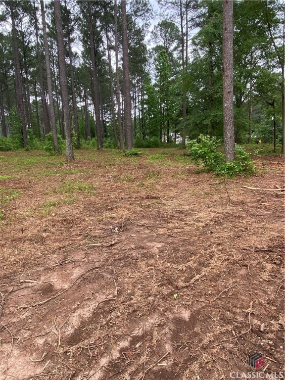 0 New High Shoals Road