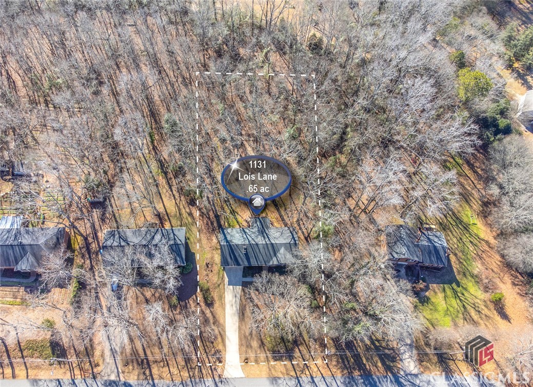 1131 Lois Lane