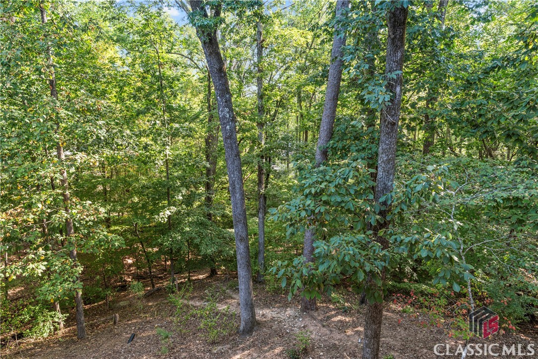 287 Lake Vista Way
