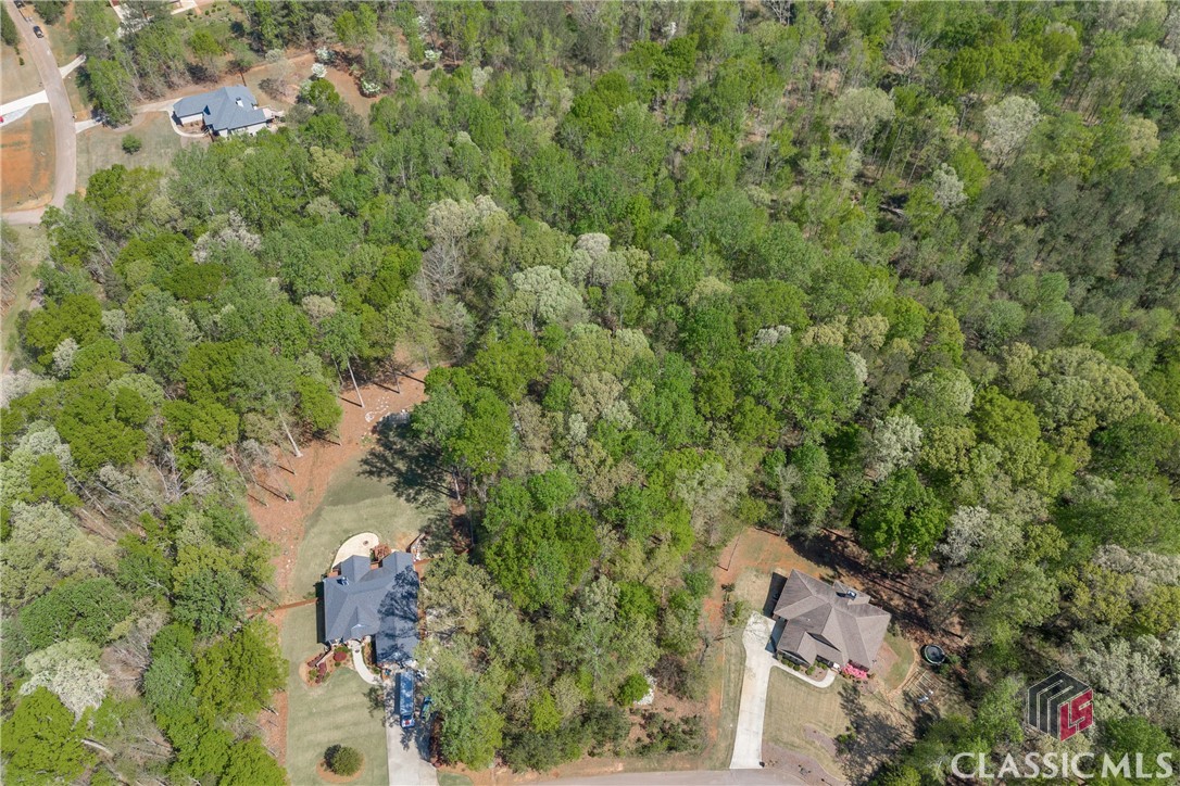 91 Lenten Rose Lane
