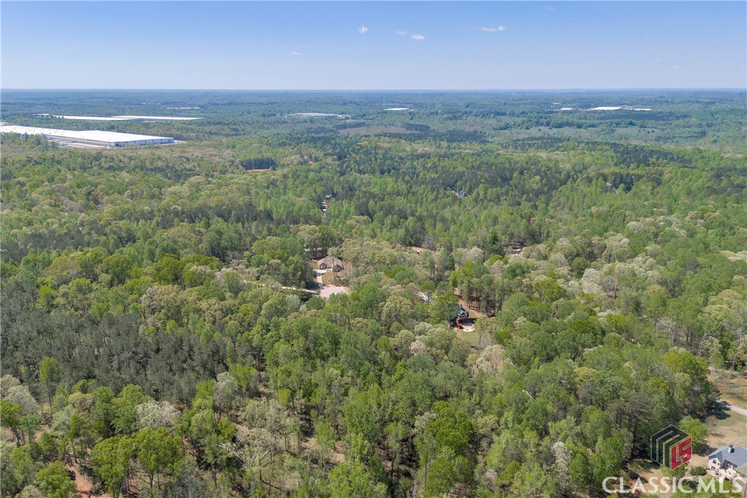 91 Lenten Rose Lane