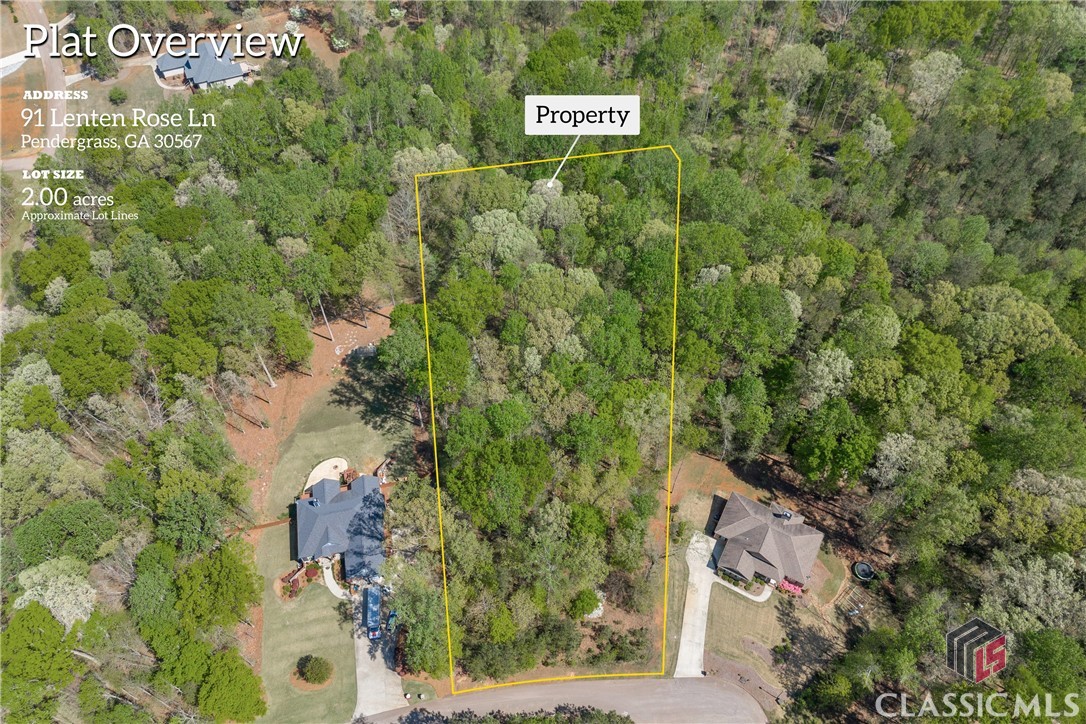 91 Lenten Rose Lane