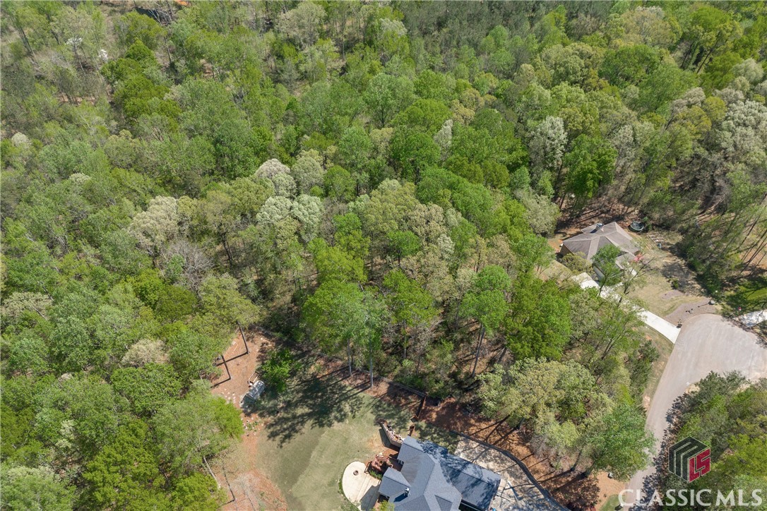91 Lenten Rose Lane