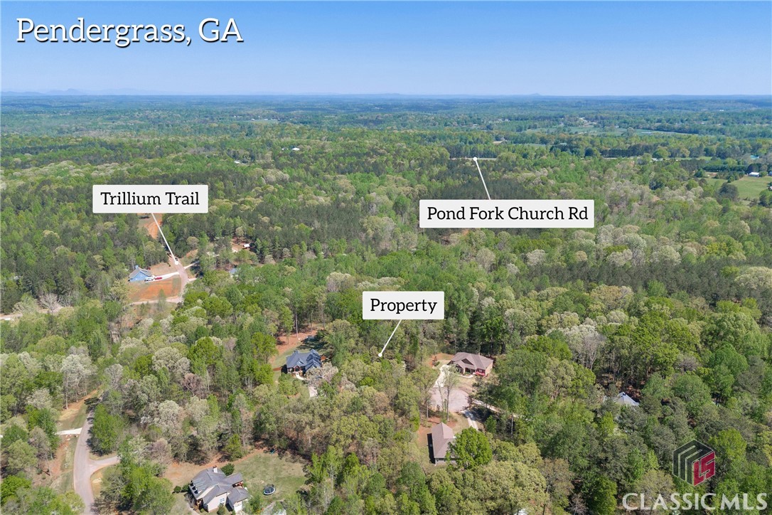 91 Lenten Rose Lane