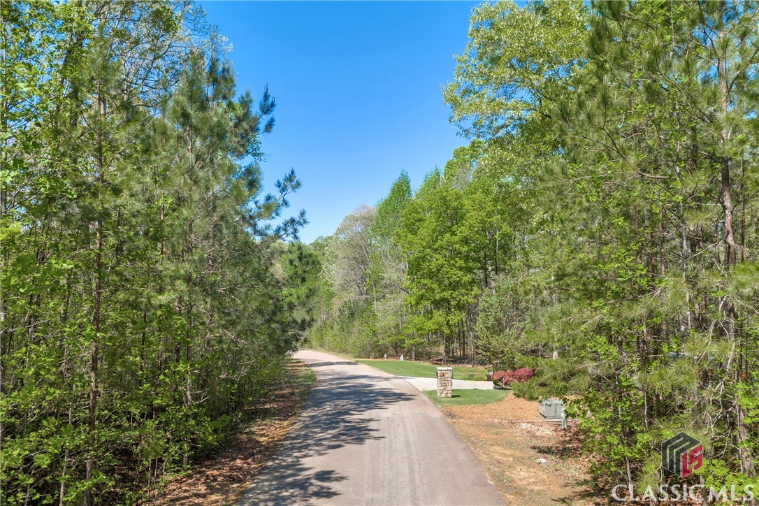 91 Lenten Rose Lane