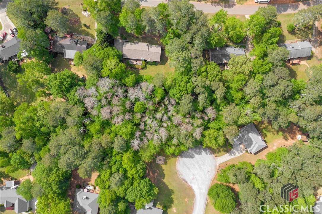 215 Little Cove Court