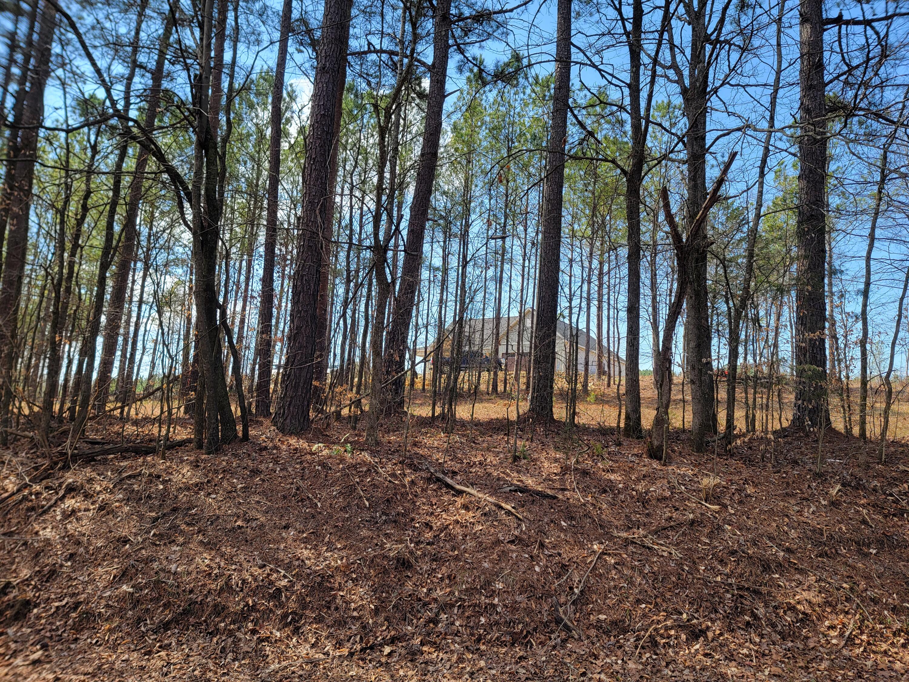 475 Horns Creek Road Road