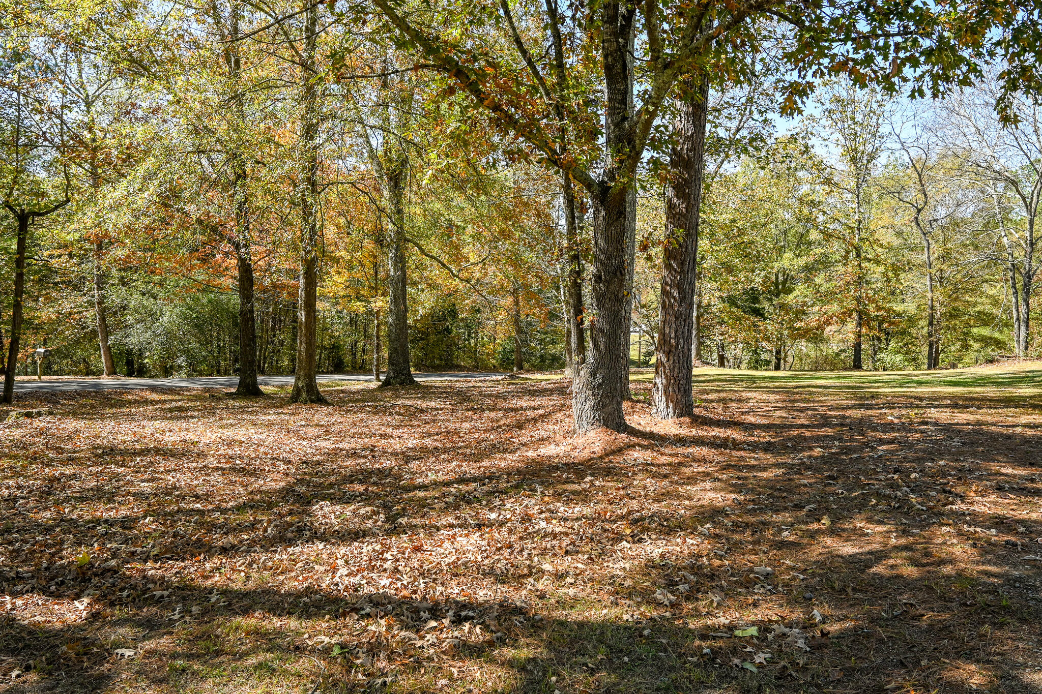 4845 Wilson Drive NW