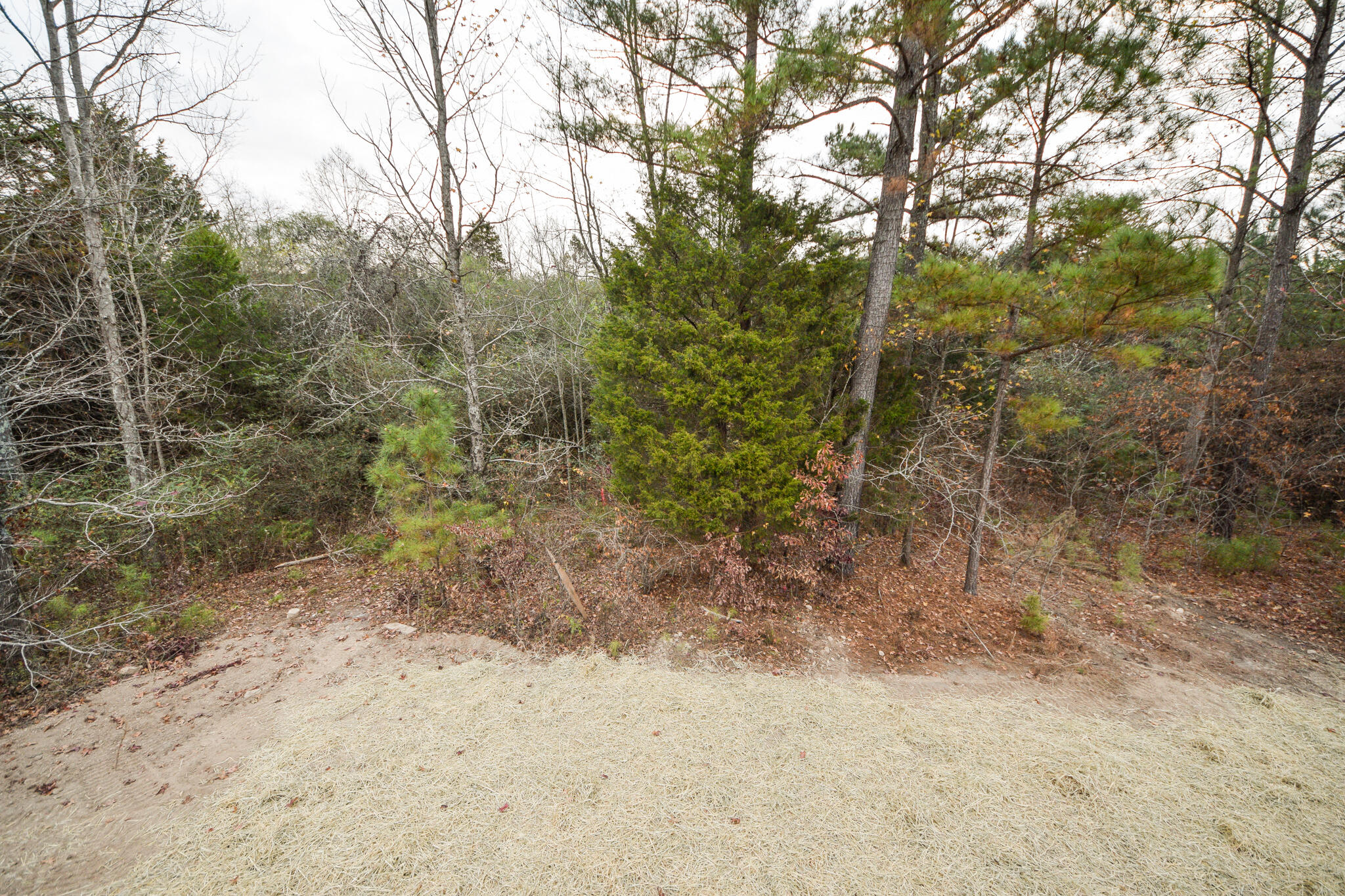 103 County Road 3050