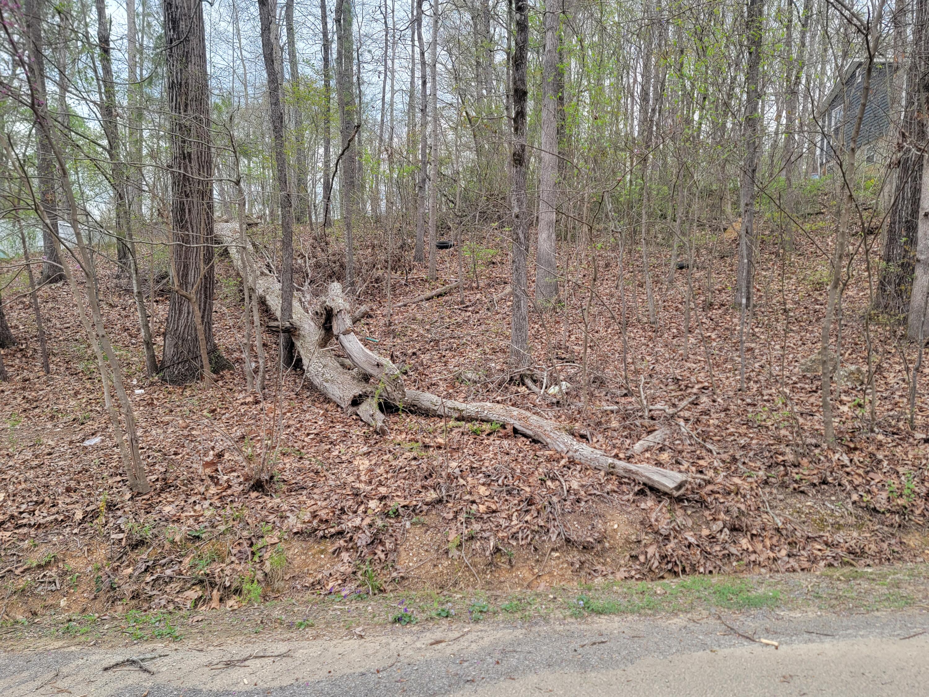 Lot #37 Hillview Drive Ne Drive NE