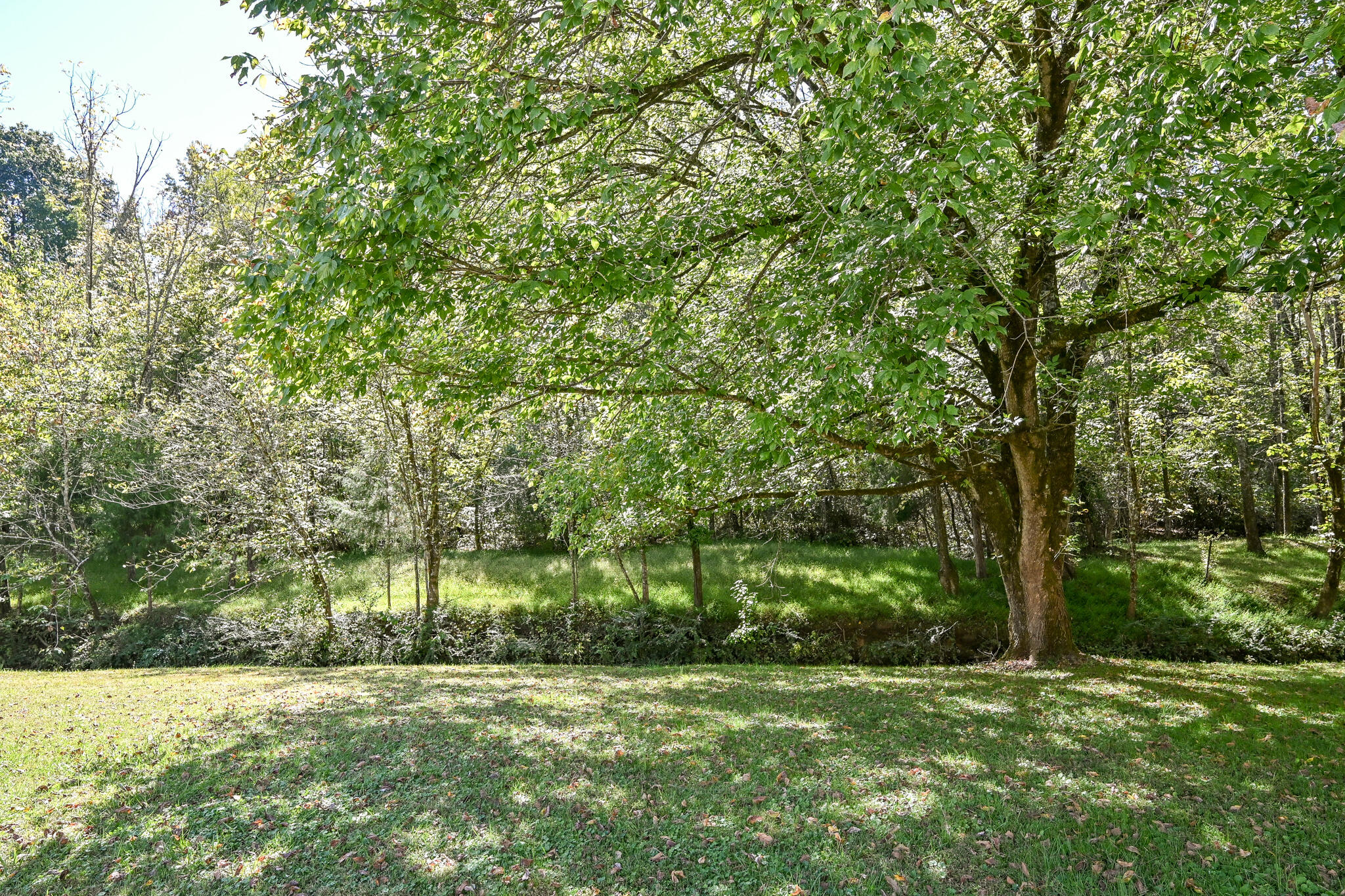 361 King Den Drive Drive