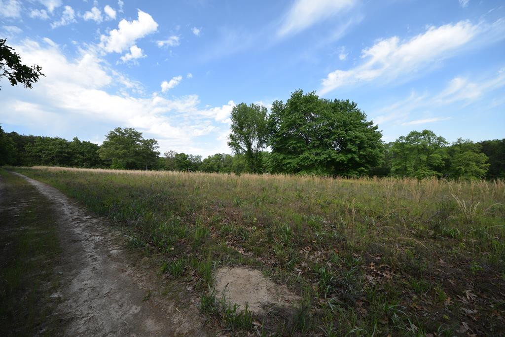577 Horns Creek Road