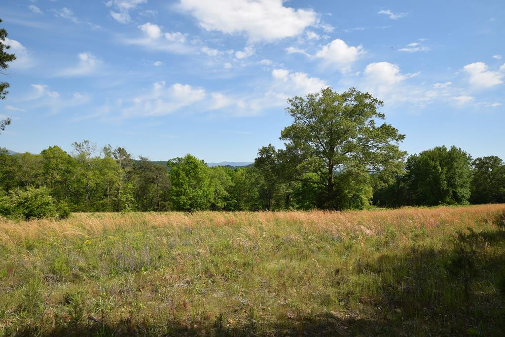 577 Horns Creek Road