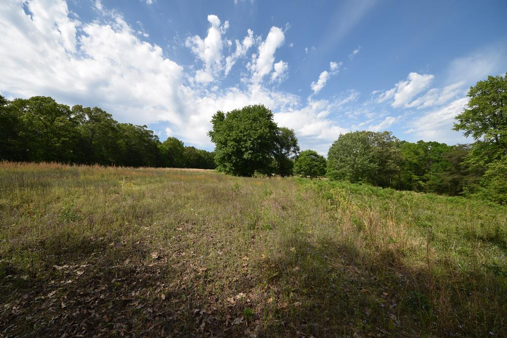 577 Horns Creek Road