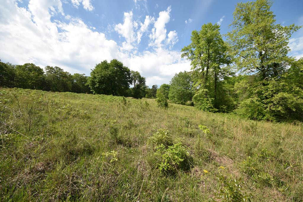577 Horns Creek Road