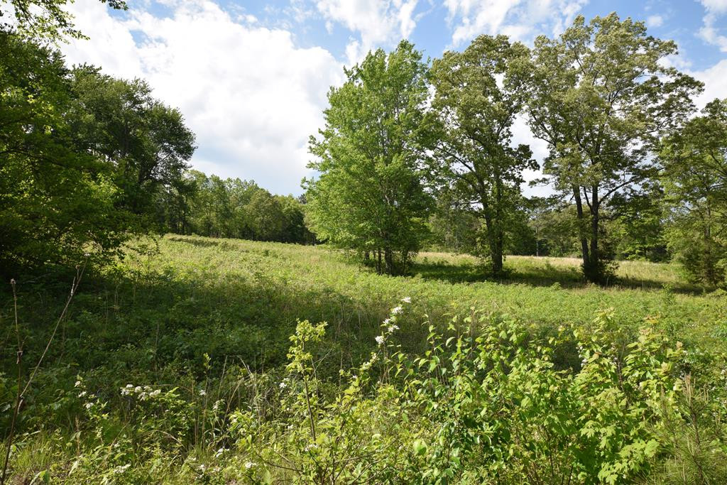 577 Horns Creek Road