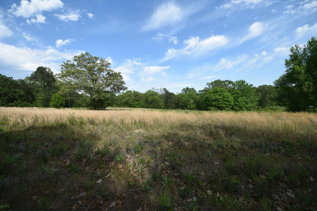577 Horns Creek Road