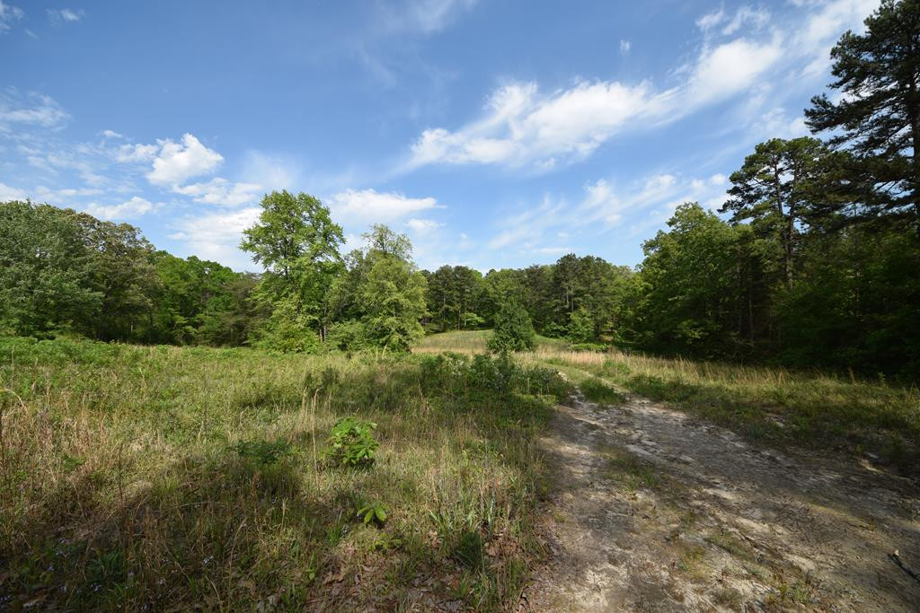 577 Horns Creek Road