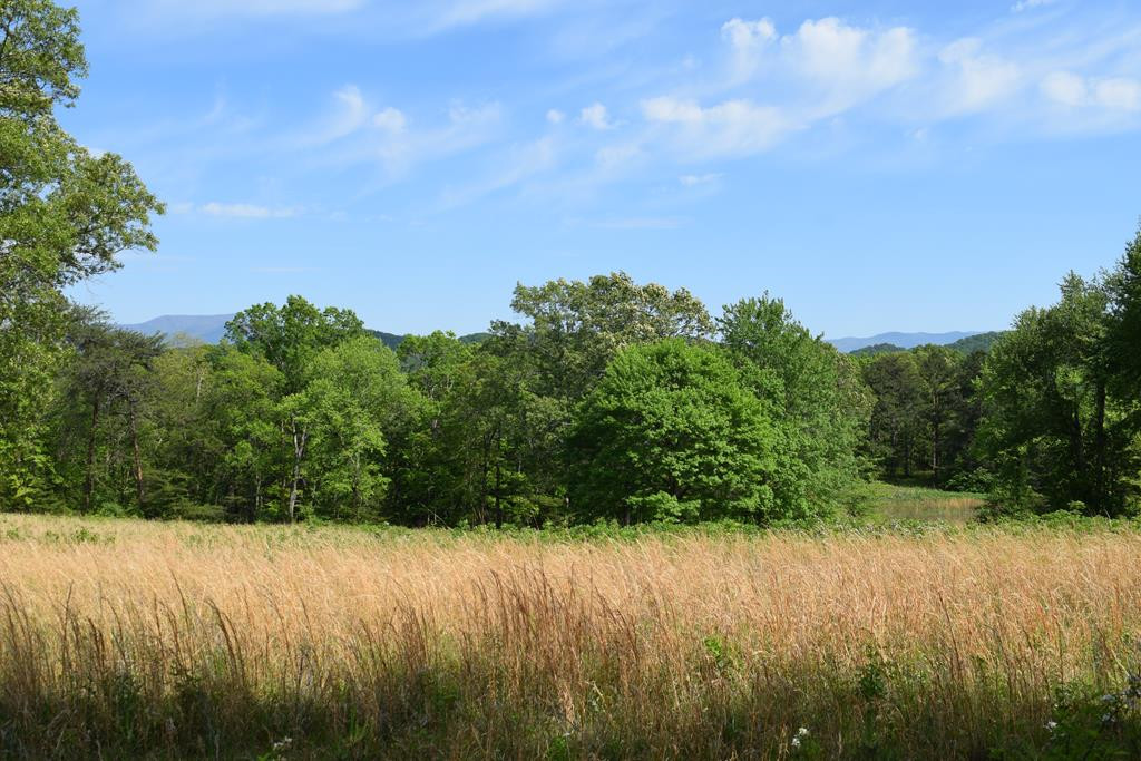 577 Horns Creek Road