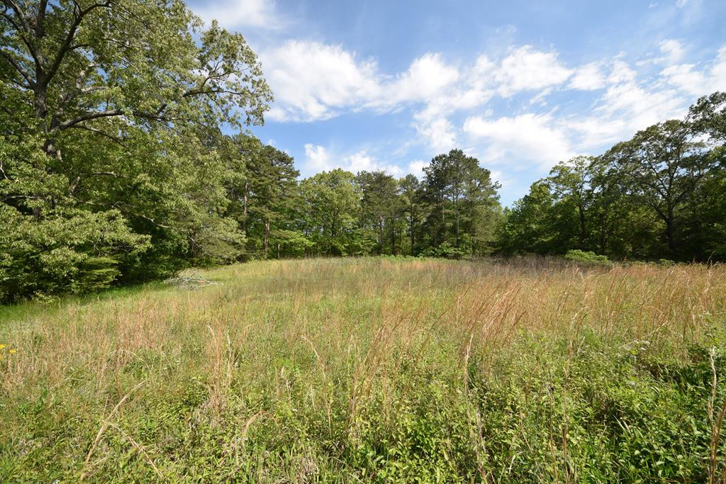 577 Horns Creek Road