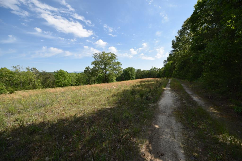 577 Horns Creek Road
