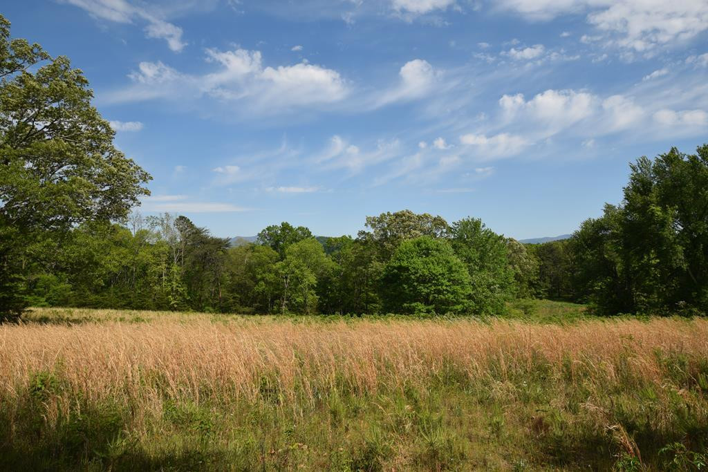577 Horns Creek Road