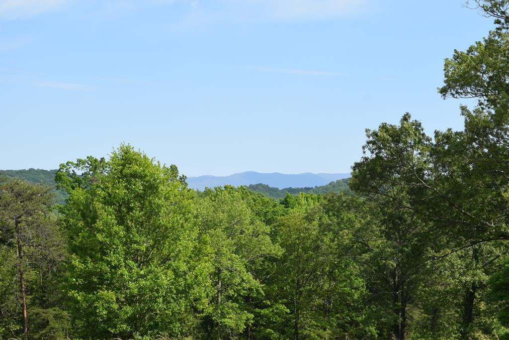 577 Horns Creek Road