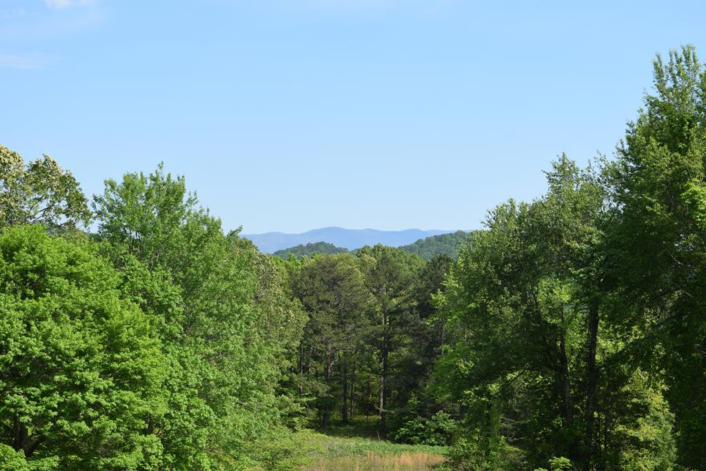 577 Horns Creek Road