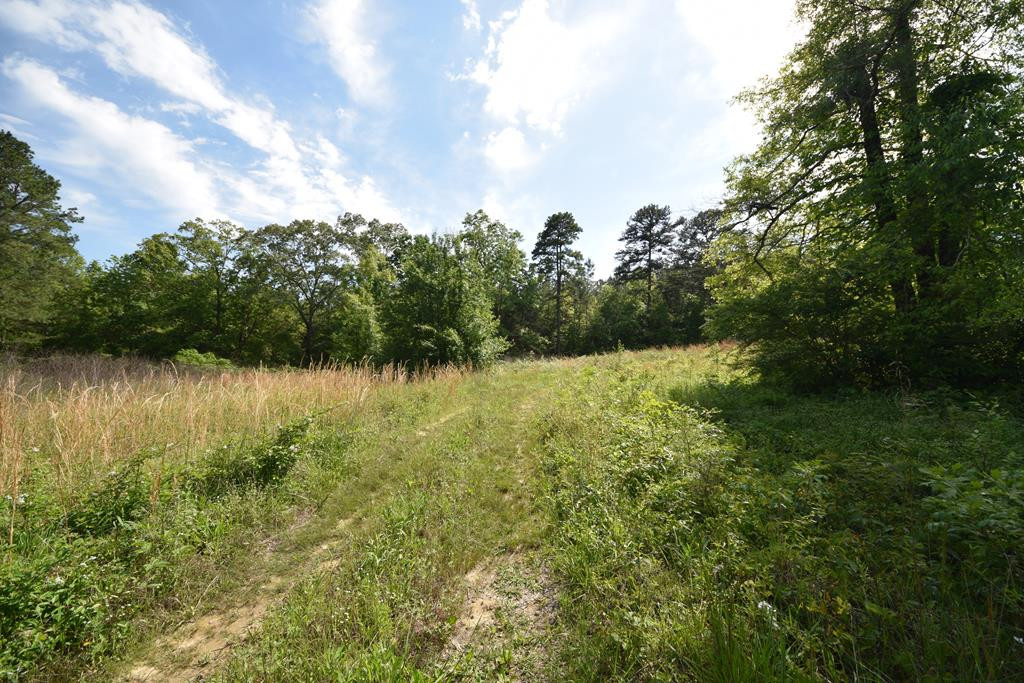 577 Horns Creek Road
