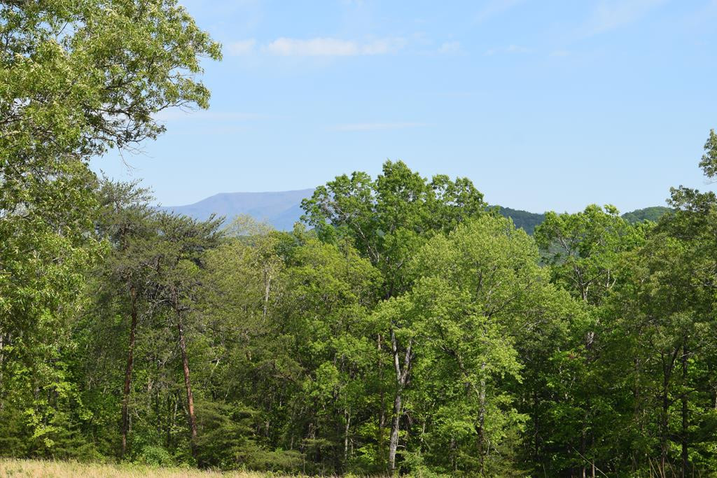 577 Horns Creek Road