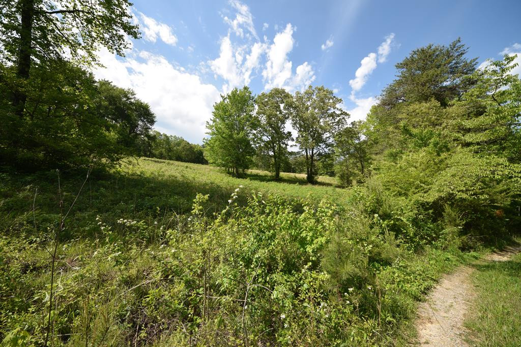 577 Horns Creek Road