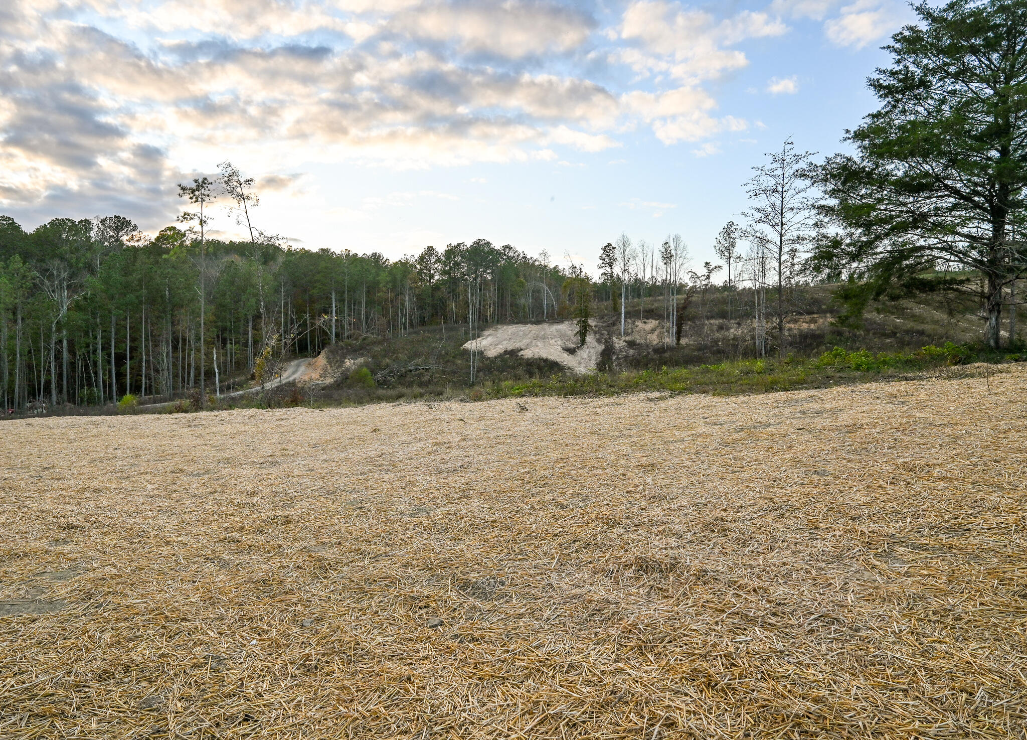 465 Horns Creek Road