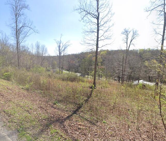 00 County Road 178, Lot 6