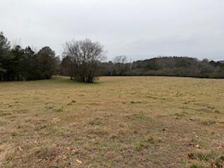 1478 Ladd Springs Rd Road SE
