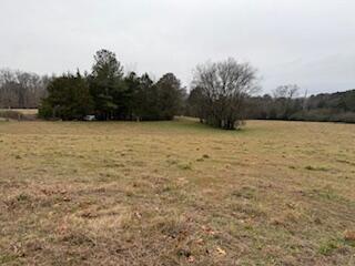 1478 Ladd Springs Rd Road SE